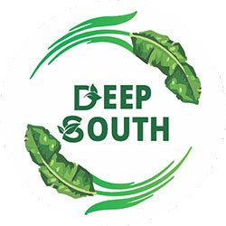 DeepSouth-Logo